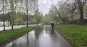 Синоптики пообещали дожди в Кирово-Чепецке
